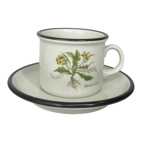 ITALIAN Set (6) Espresso Tea IPA CUPS & SAUCERS Demitasse Botanic Garden Flowers - Picture 7 of 14